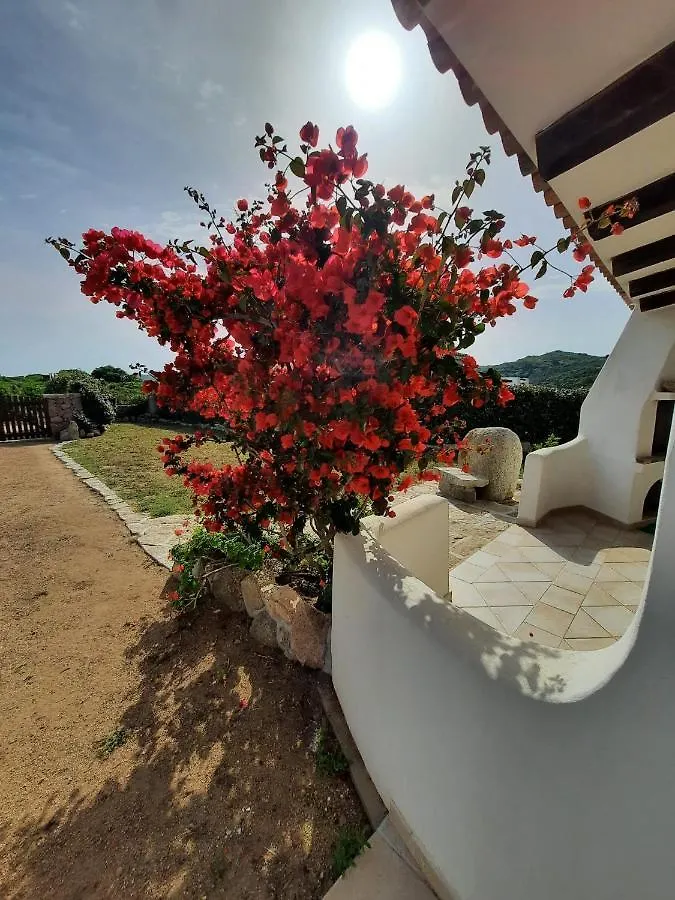 Villa Cala D'Oro Santa Teresa Di Gallura