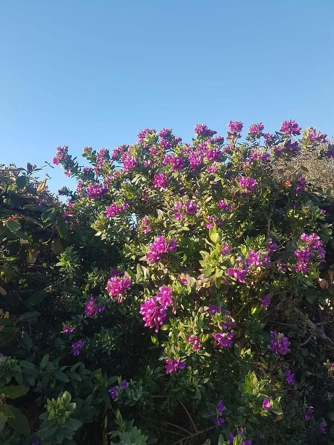 Villa Cala D'Oro Santa Teresa Di Gallura Italy