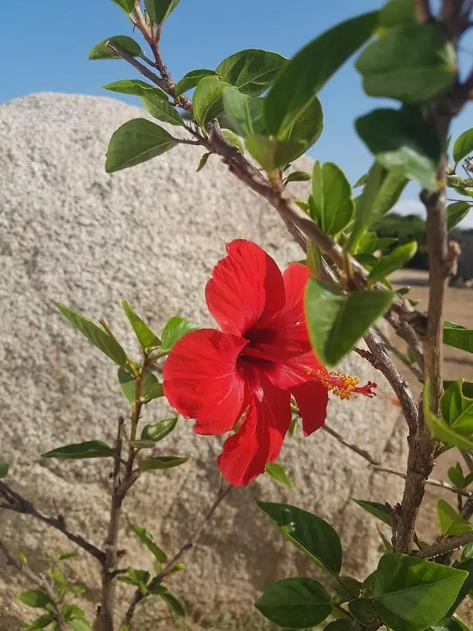 Villa Cala D'Oro Santa Teresa Di Gallura Santa Teresa Gallura