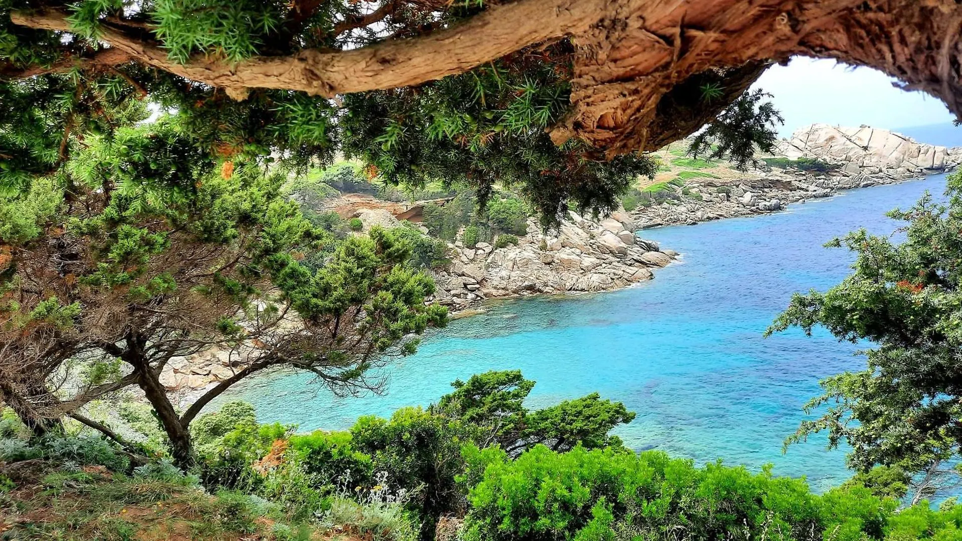Villa Cala D'Oro Santa Teresa Di Gallura Italy